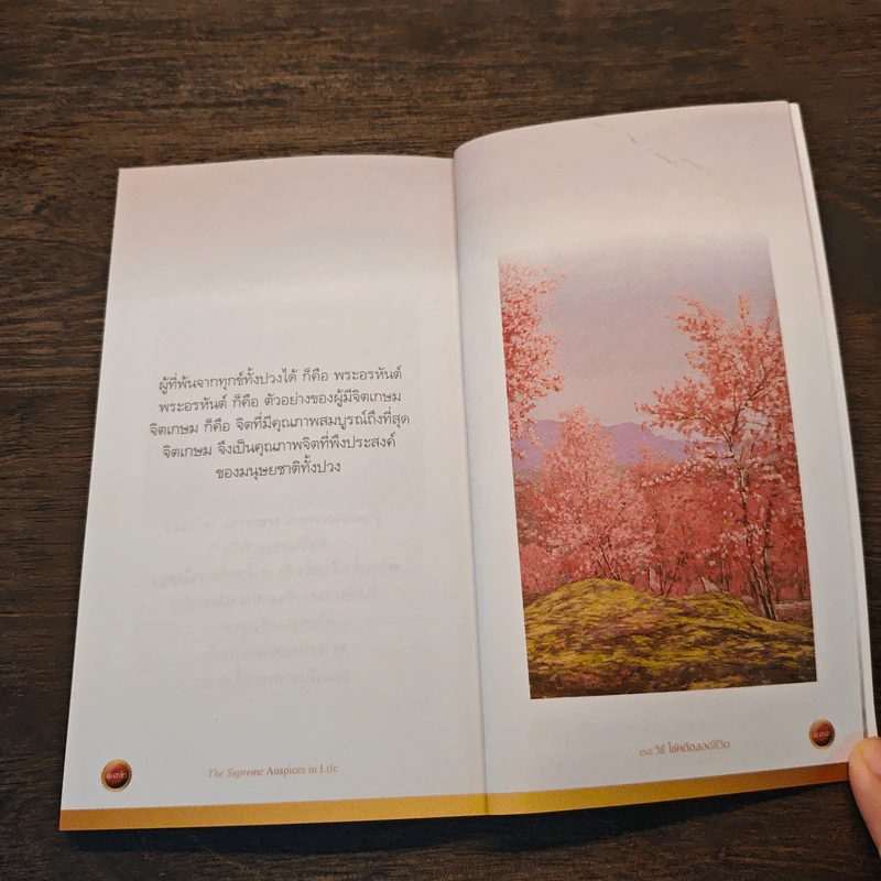 38 วิธี โชคดีตลอดชีวิต ขายรวม 7 เล่ม - ว.วชิรเมธี รูปที่ 10