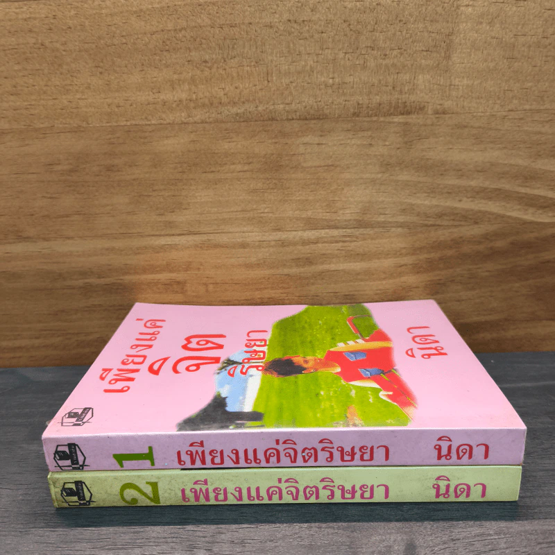 เพียงแค่จิตริษยา 2 เล่มจบ - นิดา รูปที่ 2