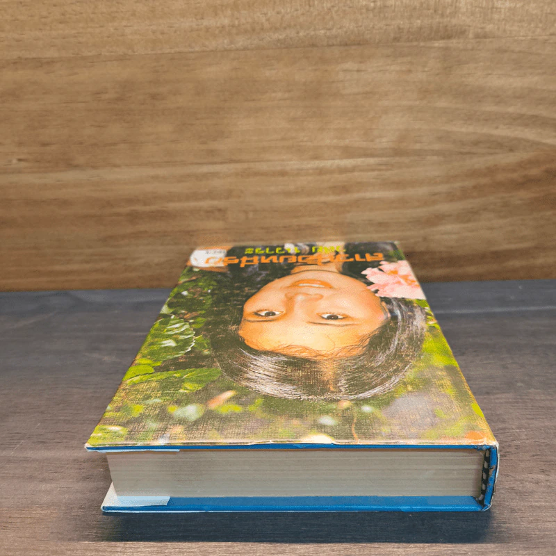 สาวน้อยหนีรัก เล่ม 1 - วลัย นวาระ รูปที่ 4