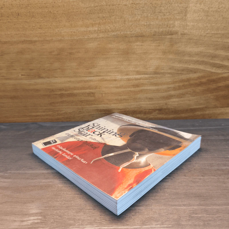 Shining Black Star เภสัชกรยิปซี - ดร.กฤษณา ไกรสินธุ์ รูปที่ 3