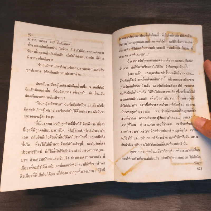 คำสารภาพของ มารีอังตัวแนตต์ รูปที่ 9