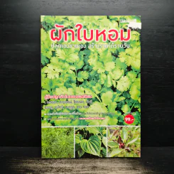 ผักใบหอม ปลูกเองขายเอง สร้างรายได้รายวัน รูปที่ 1
