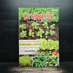 ผักอินทรีย์ ตลาดดี สร้างรายได้งาม รูปที่ 1