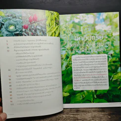 ผักอินทรีย์ ตลาดดี สร้างรายได้งาม รูปที่ 7
