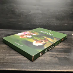 อาเธอร์ Arthur Boxset เล่ม 1-2 - ลุก แบซซอง รูปที่ 5