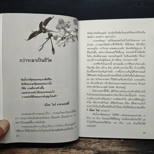 ความคิด 100 ล้าน - ศ.ศิลาแลง รูปที่ 9