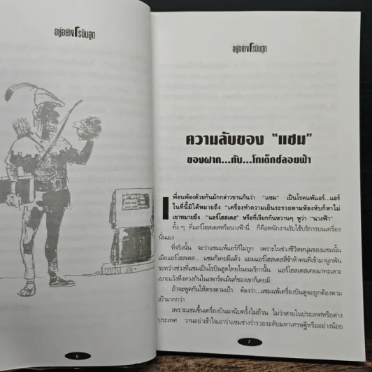 อยู่อย่างโรบินฮูด ชีวิตไทยในอเมริกา - สุรชัย ดิลกวิลาศ รูปที่ 7
