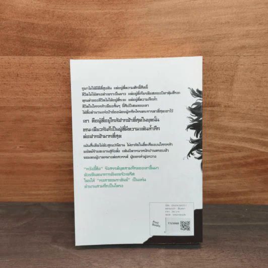 หงสาจอมราชันย์ ภาคพิเศษ เล่ม 4 - Wang Yi Xing (หวังอี๋ซิง) รูปที่ 5