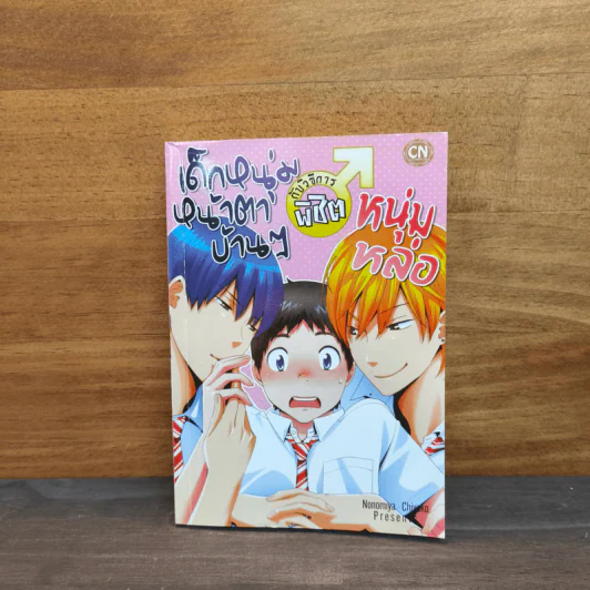 เด็กหนุ่มหน้าตาบ้านๆ กับวิธีการพิชิตหนุ่มหล่อ - Nonomiya Chiyoko รูปที่ 1