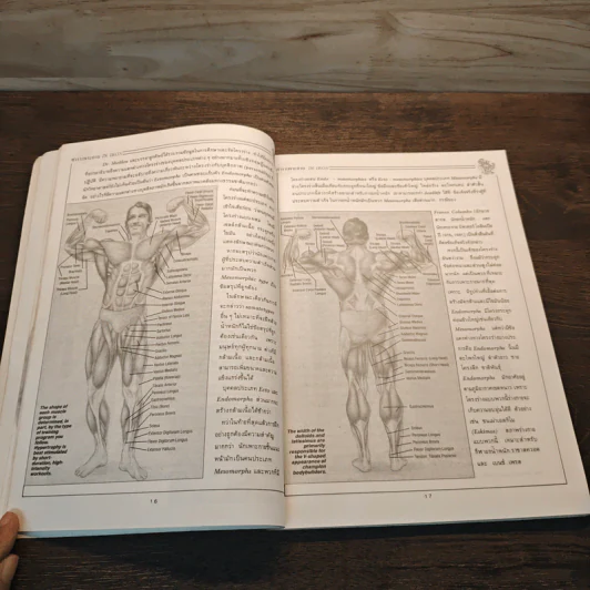 ตำราเพาะกาย In Iron - David J. Brow, อาจารย์นพคุณ วันแต่ง รูปที่ 8