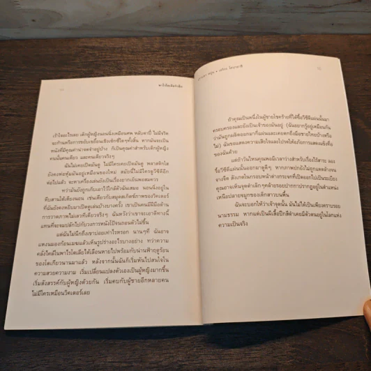 พาไรโดเลียรำลึก - ปราบดา หยุ่น รูปที่ 8