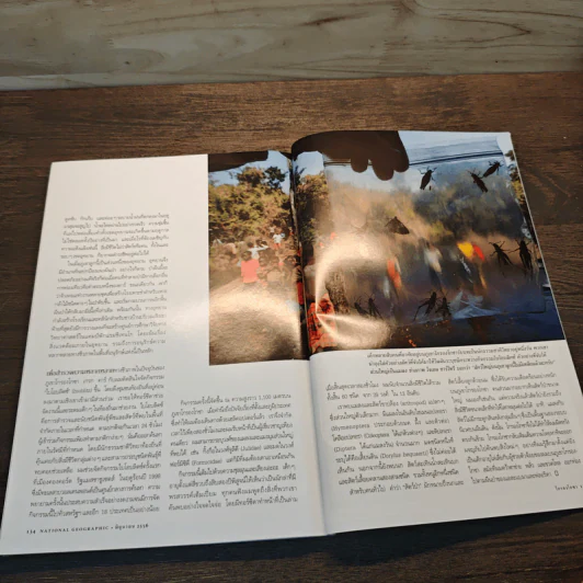 National Geographic ฉบับที่ 143 มิ.ย.2556 ดำ ดิ่ง เดี่ยว ลึกสุดโลก รูปที่ 8
