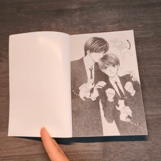 หวานใจนายแมวเหมียว 2 เล่มจบ รูปที่ 6