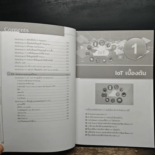 พัฒนา Iot บนแพลตฟอร์ม Arduino และ Raspberry Pi รูปที่ 11