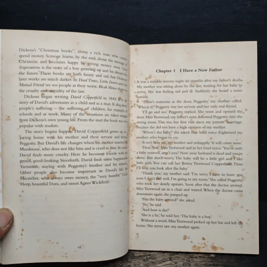 David Copperfield (Penguin Readers: Level 3) - Charles Dickens รูปที่ 7