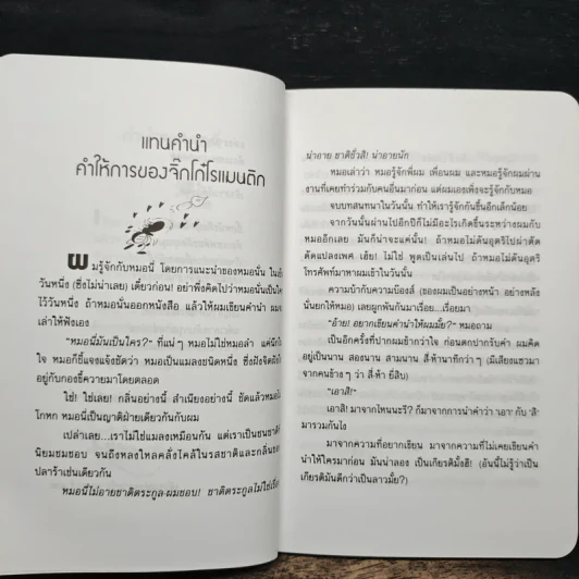 อยากให้เธออารมณ์ดีตลอดปีตลอดชาติ - พรชัย แสนยะมูล 'กุดจี่' รูปที่ 7