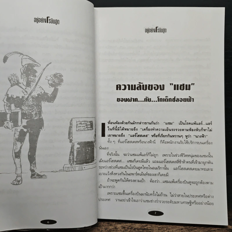 อยู่อย่างโรบินฮูด ชีวิตไทยในอเมริกา - สุรชัย ดิลกวิลาศ รูปที่ 7