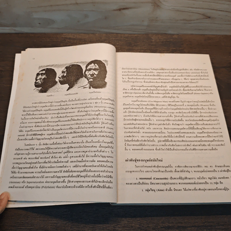 ประวัติศาสตร์และอารยธรรมโลก (ฉบับปรับปรุง) - รองศาสตราจารย์นันทนา กปิลกาญจน์ รูปที่ 7