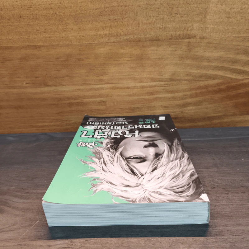 หงสาจอมราชันย์ ภาคพิเศษ เล่ม 4 - Wang Yi Xing (หวังอี๋ซิง) รูปที่ 4