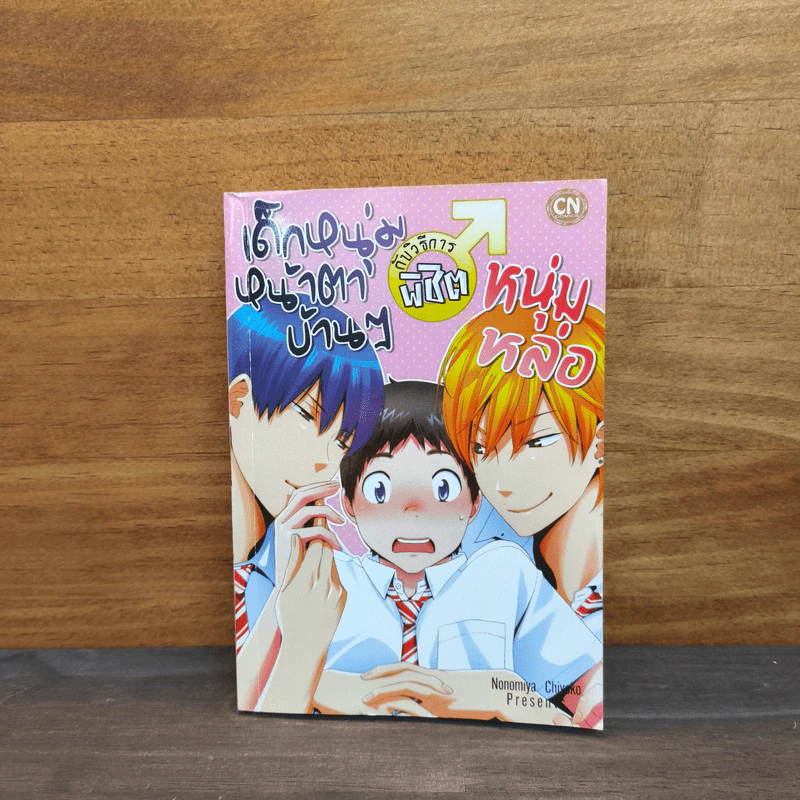 เด็กหนุ่มหน้าตาบ้านๆ กับวิธีการพิชิตหนุ่มหล่อ - Nonomiya Chiyoko รูปที่ 1