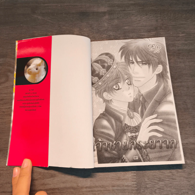 การ์ตูนวาย เจ้าชายกะยาจก รูปที่ 6
