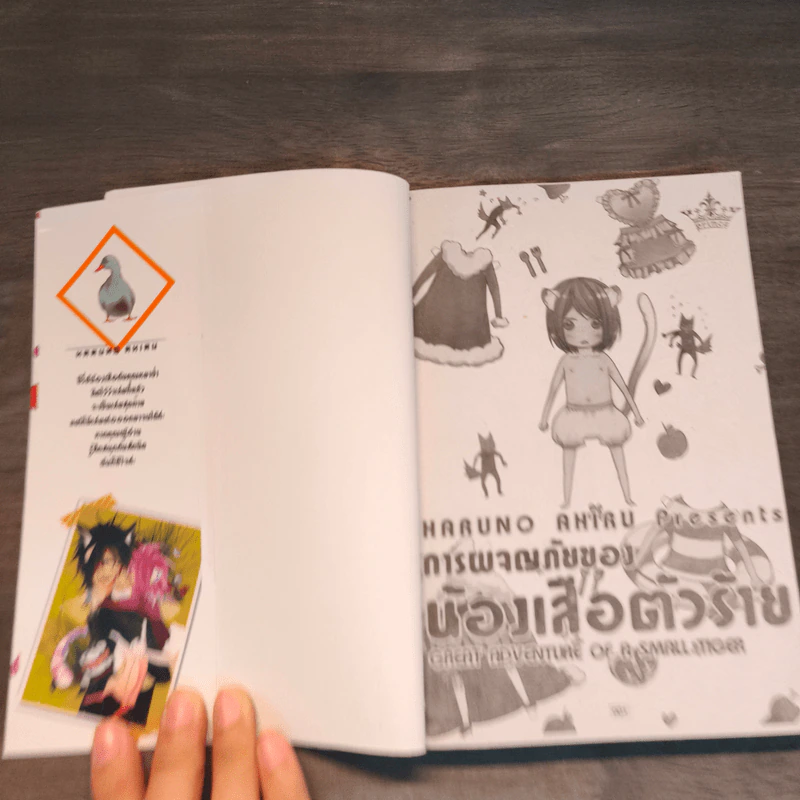 การผจญภัยของน้องเสือตัวร้าย รูปที่ 6