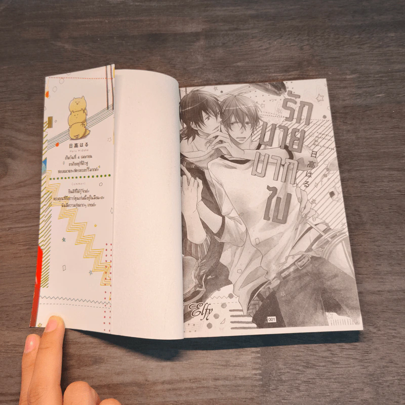 รักนายมากไป - Haru Hidaka รูปที่ 6