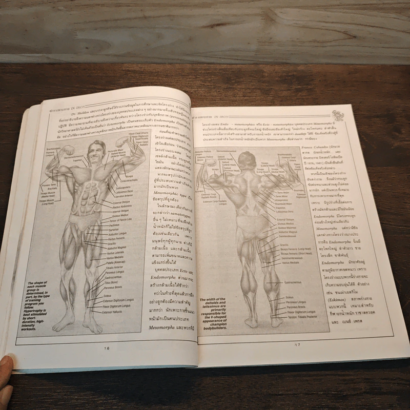 ตำราเพาะกาย In Iron - David J. Brow, อาจารย์นพคุณ วันแต่ง รูปที่ 8