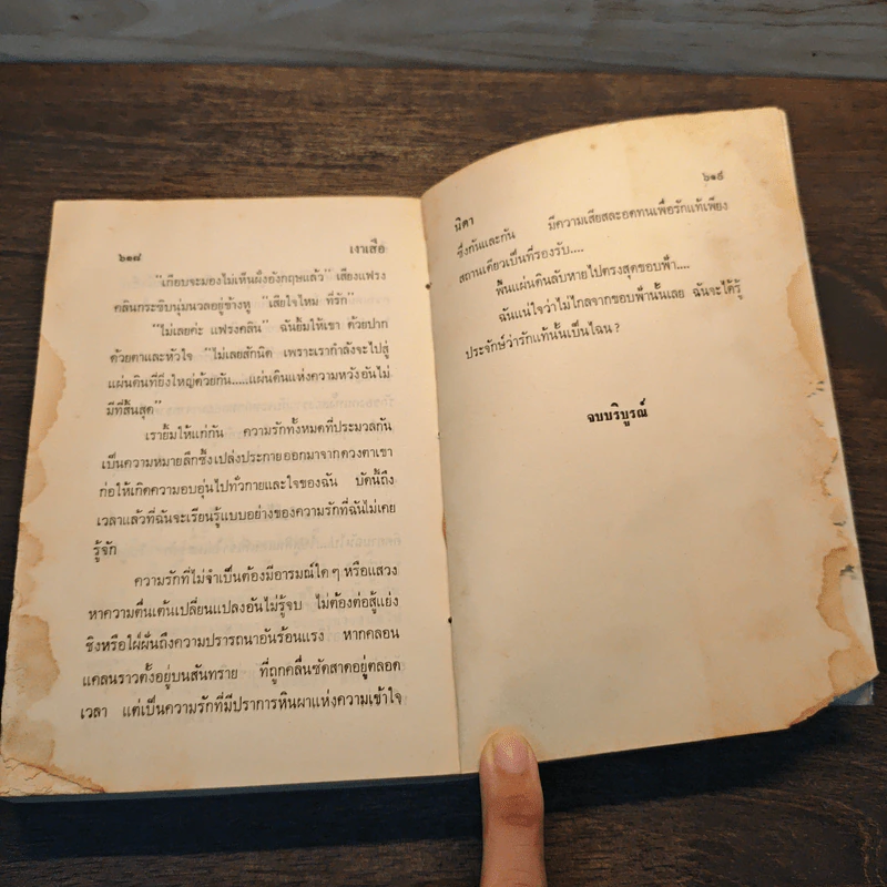 เงาเสือ The Shadow of The Lynx 2 เล่มจบ - Victoria Holt รูปที่ 14