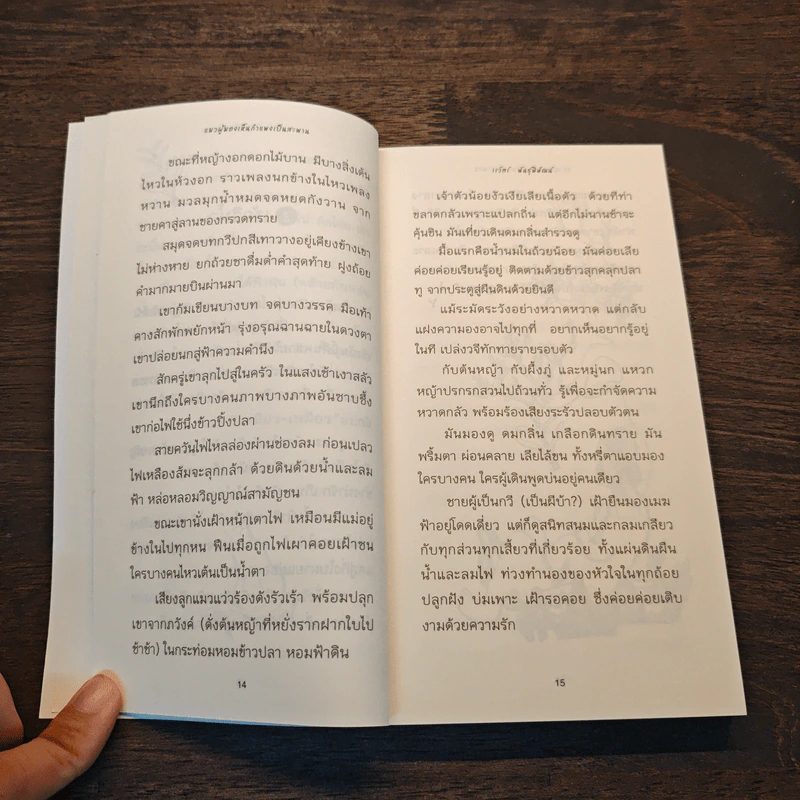 แมวผู้มองเห็นกำแพงเป็นสะพาน - เรวัตร์ พันธุ์พิพัฒน์ รูปที่ 8