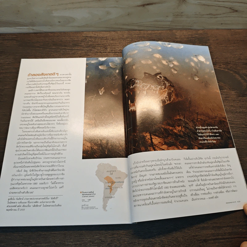 National Geographic ฉบับที่ 144 ก.ค.2556 จากพุทธภูมิ สู่สุวรรณภูมิ รูปที่ 8