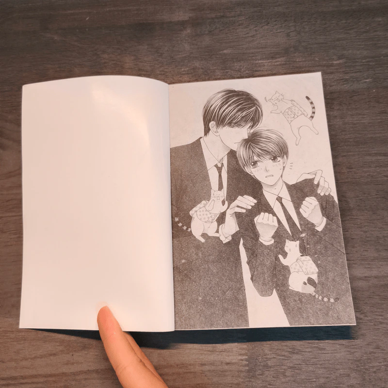 หวานใจนายแมวเหมียว 2 เล่มจบ รูปที่ 6