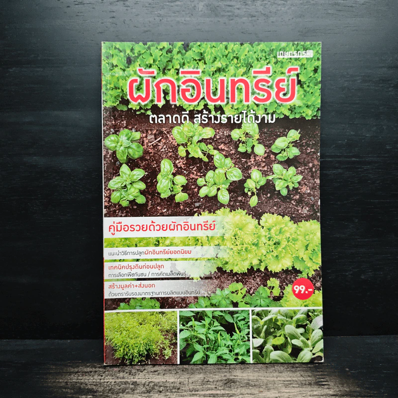ผักอินทรีย์ ตลาดดี สร้างรายได้งาม รูปที่ 1