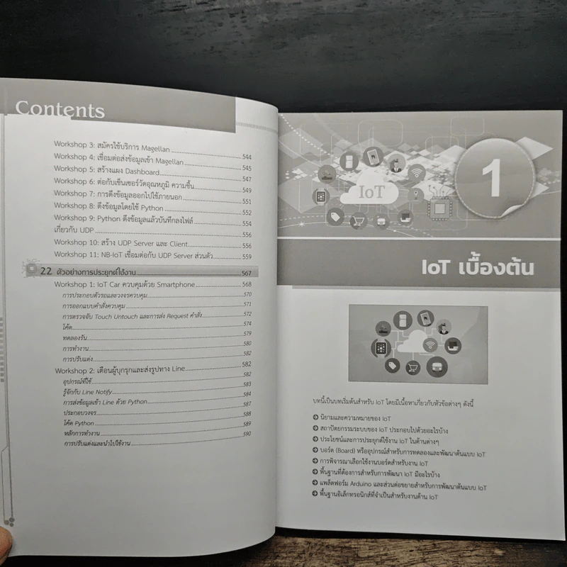 พัฒนา Iot บนแพลตฟอร์ม Arduino และ Raspberry Pi รูปที่ 11