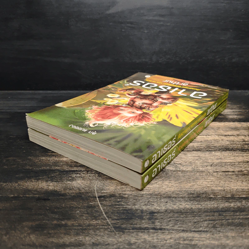 อาเธอร์ Arthur Boxset เล่ม 1-2 - ลุก แบซซอง รูปที่ 10