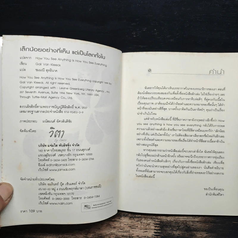 เล็กน้อยอย่างที่เห็นแต่เป็นโลกทั้งใบ - Gail Van Kleeck รูปที่ 6