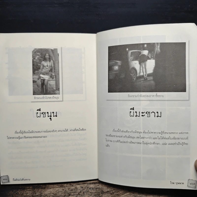 ผีแห่งแผ่นดินสยาม - โรม บุนนาค รูปที่ 10
