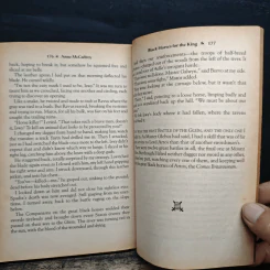 Black Horses For The King - McCaffrey Anne รูปที่ 9