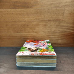 RDG อิซึมิโกะ ผู้สืบทอดเทพนารี เล่ม 1-3 รูปที่ 4