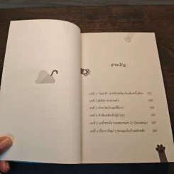 แมวฉันอยู่บนสวรรค์ - หลิว ตีชวน รูปที่ 7