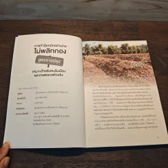 การทำปุ๋ยหมักอย่างง่าย ไม่พลิกกอง สูตรจารย์ลุง - ธีระพงษ์ สว่างปัญญางกูร รูปที่ 6