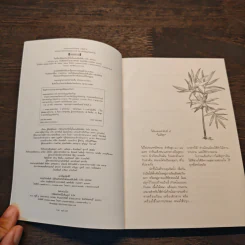 ธรรมะจากพระพรหมมังคลาจารย์ (หลวงพ่อปัญญานันทภิขุ) รูปที่ 6