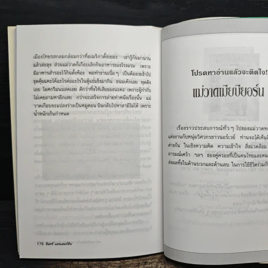 แม่วาดเมียบียอร์น ตอนกำเนิดตัวละคร - จันทร์ ศรีจรูญ แอนเดอร์สัน รูปที่ 9