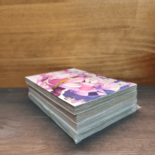 ตำนานผู้กล้าแห่งแหวน Tales of Wedding Rings เล่ม 1,2,4,5 - MAYBE รูปที่ 4