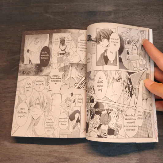 MONSTER จู่โจมรัก เล่ม 2-3 รูปที่ 9