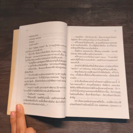 จอมนางน่านเจ้า 2.สืบสาย"เผ่าไทน้อย" - ประมวญ ดิคคินสัน รูปที่ 9