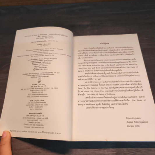 The Perks of Being a Wallflower จดหมายรักจากนายไม้ประดับ - Stephen Chbosky รูปที่ 6
