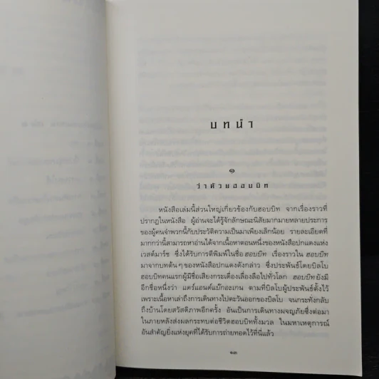 The Lord of the Rings ลอร์ดออฟเดอะริงส์ ตอน มหันตภัยแห่งแหวน รูปที่ 8