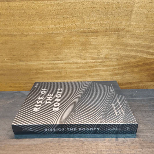 Rise of the Robots - Martin Ford รูปที่ 2