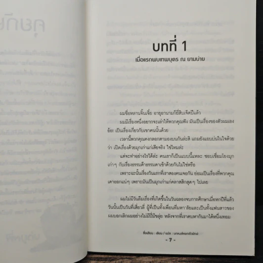 ความลับของผมและคุณเทวดา Me and Mr. Angel - ซื่อเสียน, นกหงส์หยกตัวยักษ์ รูปที่ 7